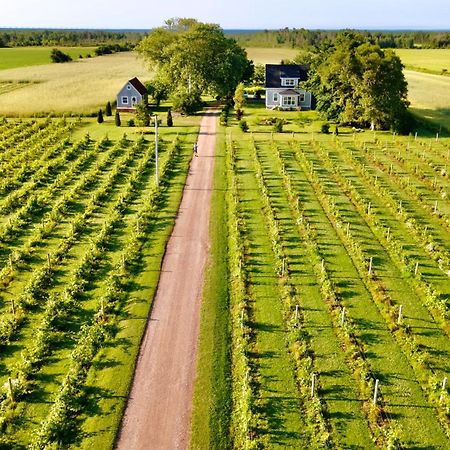 Bed and Breakfast Sunbury Cove Winery Miscouche Exteriér fotografie